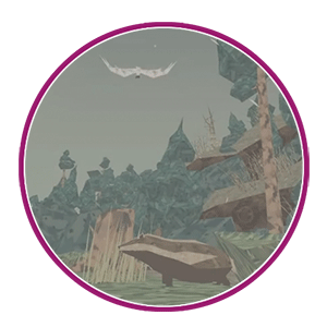 Shelter